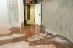 Basement in Long Island, NY filled with standing water and an open door letting in light, highlighting major flooding and urgent cleanup